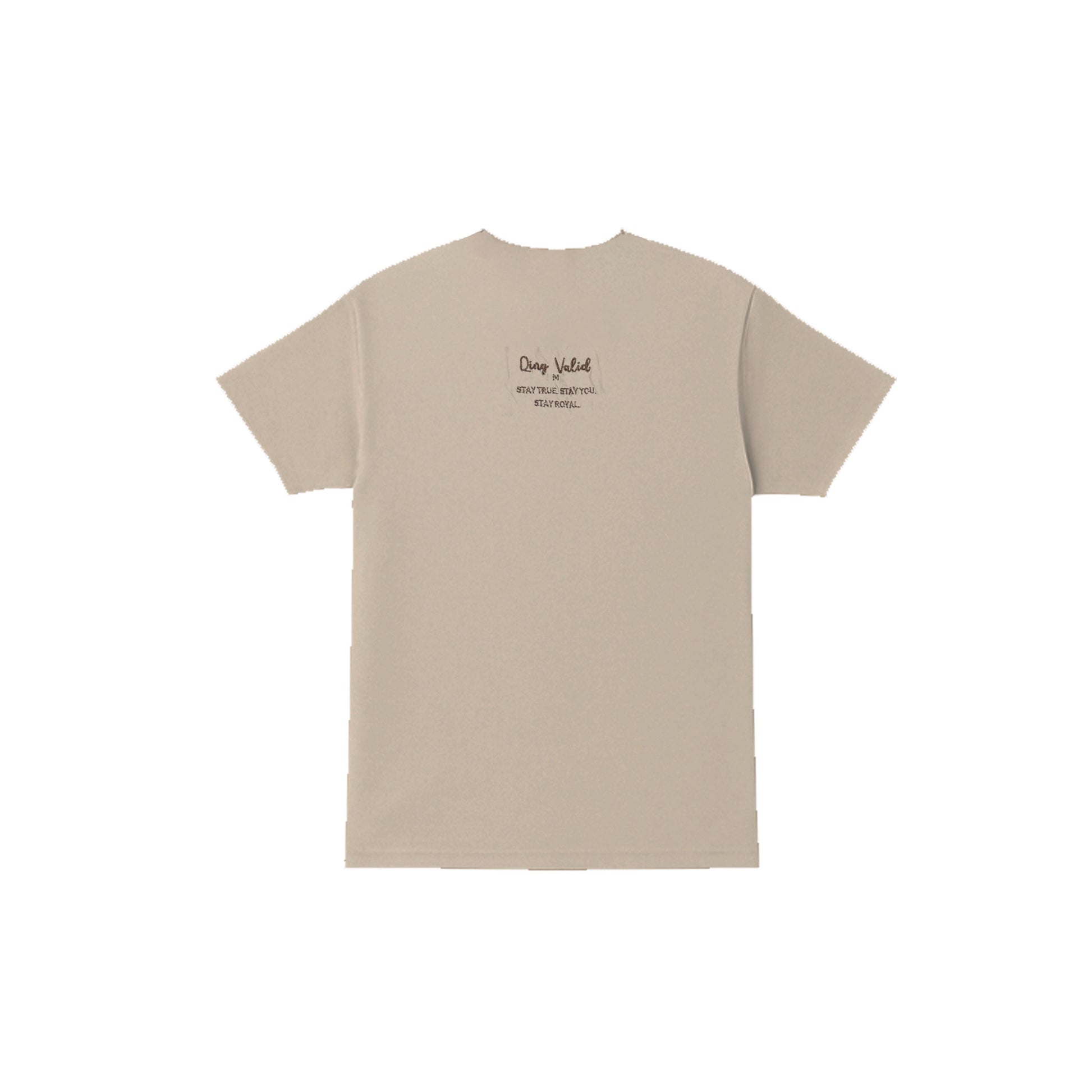 Qing Valid T-Shirt